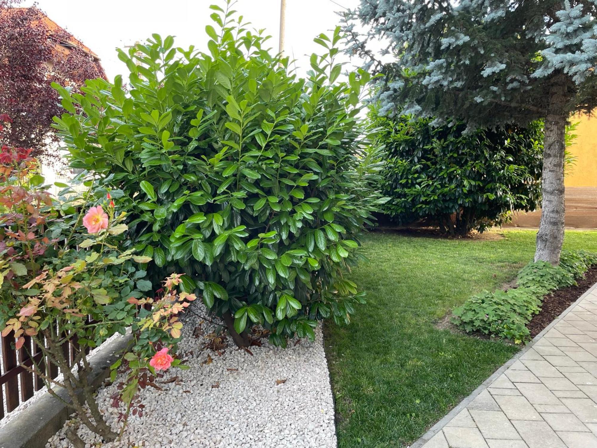 Villa Lili Apartments Balatonkeresztúr Dış mekan fotoğraf